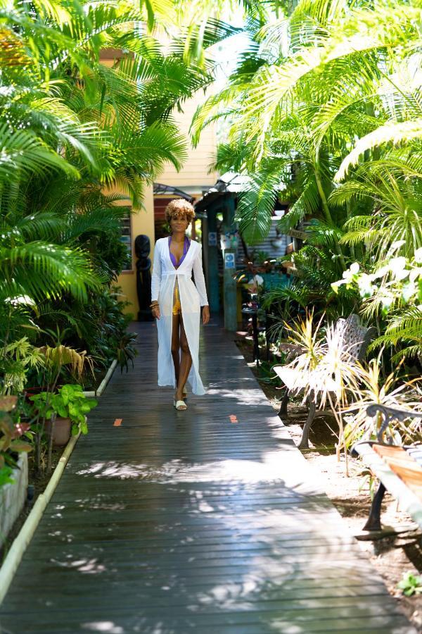 Hotel Les Bougainvilliers Saint-Gilles Les Bains Zewnętrze zdjęcie