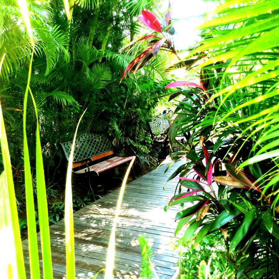 Hotel Les Bougainvilliers Saint-Gilles Les Bains Zewnętrze zdjęcie