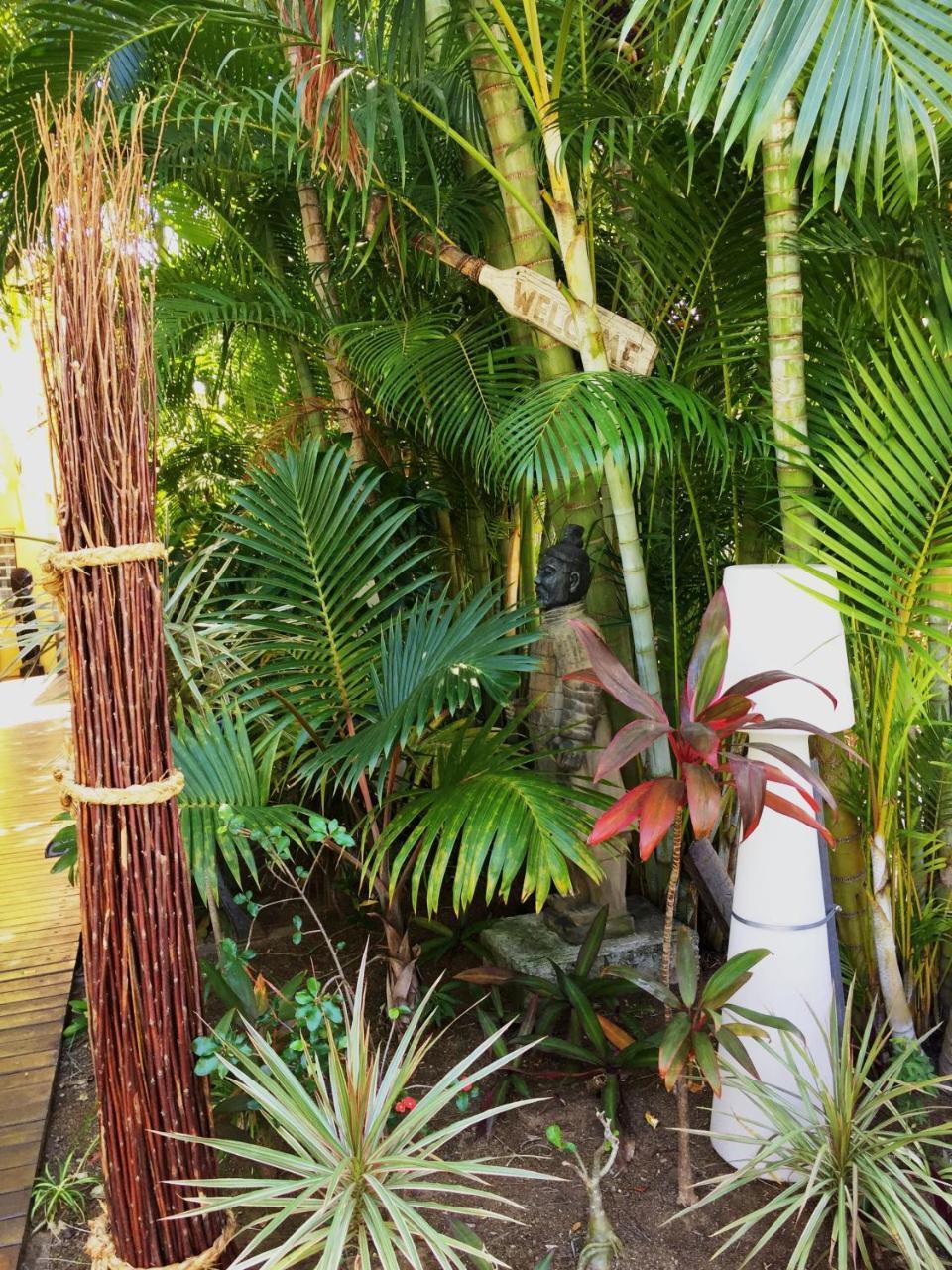 Hotel Les Bougainvilliers Saint-Gilles Les Bains Zewnętrze zdjęcie